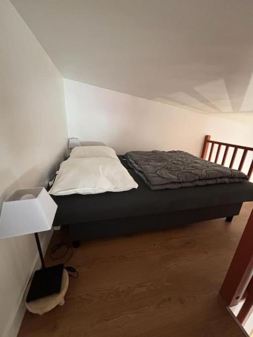 Charmante Maison Bord De Marne Maisons-Alfort Zewnętrze zdjęcie